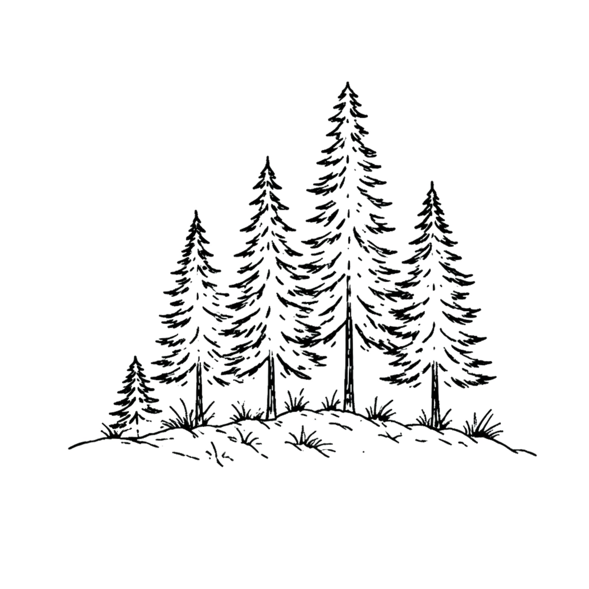 Joel Natwick Trees